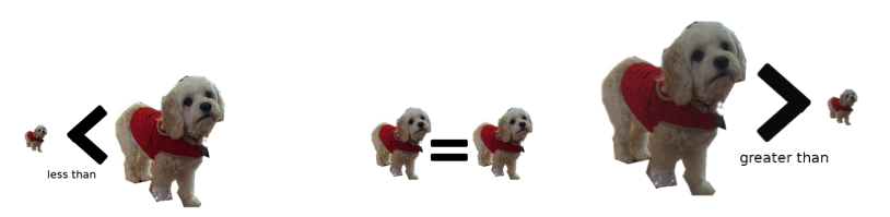 Greater than, equals and less than symbols with pictures of small, medium and big dog to show which is used when.