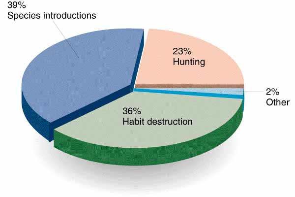 Species introductions, habitat destruction and hunting have brought about the majority of known animal extinctions since 1600. (From World Conservation Monitoring Centre.)