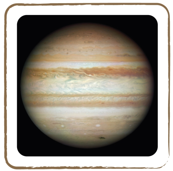 Jupiter (Credit: NASA)