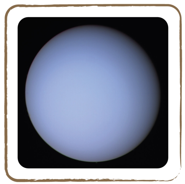 Uranus (Credit: NASA)