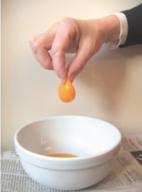 Handling an egg yolk