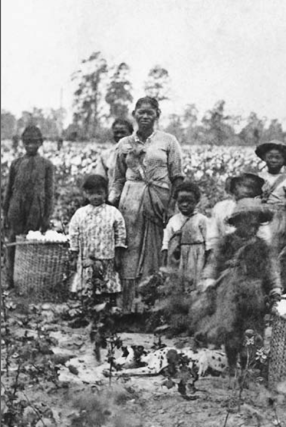 A slave family standing next to baskets of recently-picked cotton near Savannah, Georgia in the 1860s.