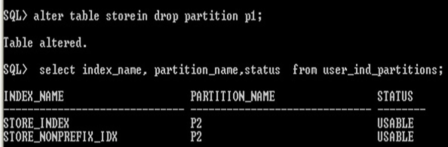 Dropping partition for index