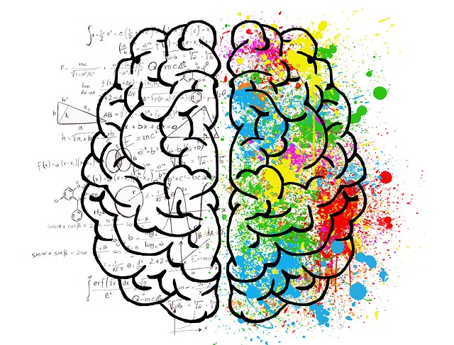 https://pixabay.com/en/brain-mind-psychology-idea-hearts-2062057/